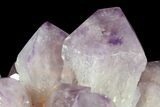 Wide Amethyst Crystal Cluster - Spectacular Display Piece #78154-2